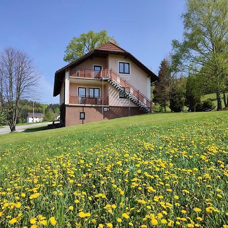 Ferienhaus Schoeller Apartman Schönbach Kültér fotó