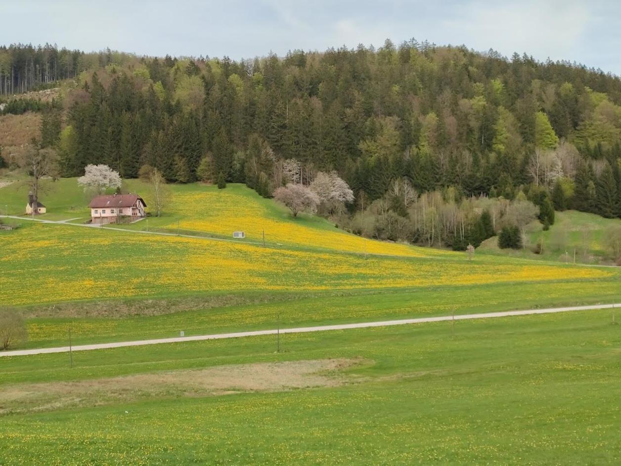 Ferienhaus Schoeller Apartman Schönbach Kültér fotó